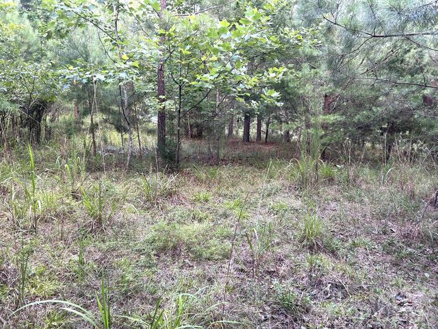 00 Cross Creek Drive 277, Rutherfordton, NC 28139