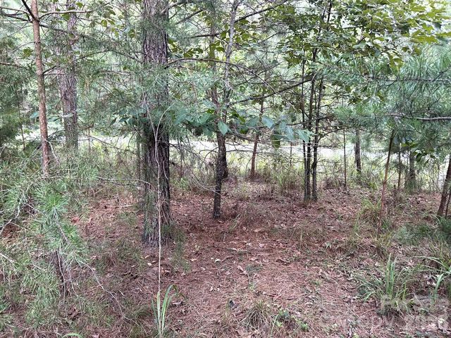 00 Cross Creek Drive 277, Rutherfordton, NC 28139