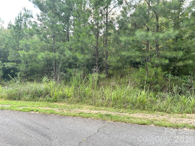 00 Cross Creek Drive 277, Rutherfordton, NC 28139