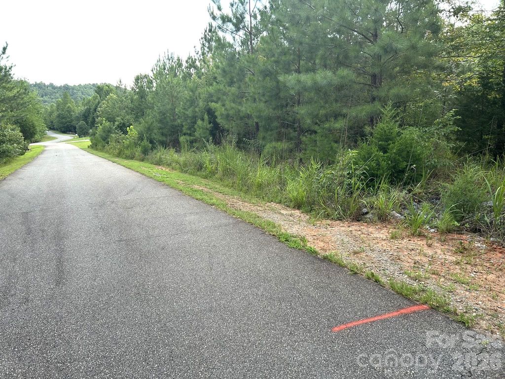 00 Cross Creek Drive 277, Rutherfordton, NC 28139