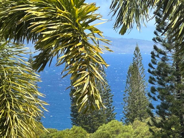 215 Plantation Club Dr, Lahaina, HI 96761