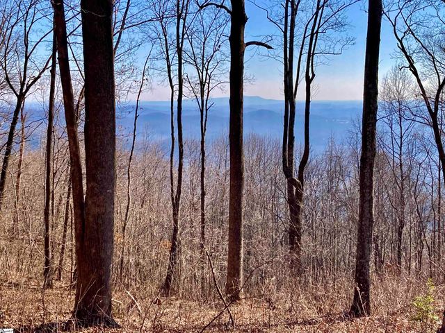 1000 Mountain Summit Road, Travelers Rest, SC 29690