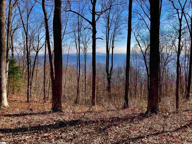 1000 Mountain Summit Road, Travelers Rest, SC 29690