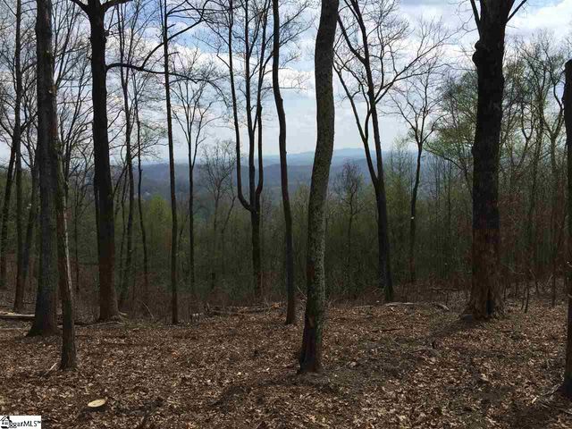 1000 Mountain Summit Road, Travelers Rest, SC 29690