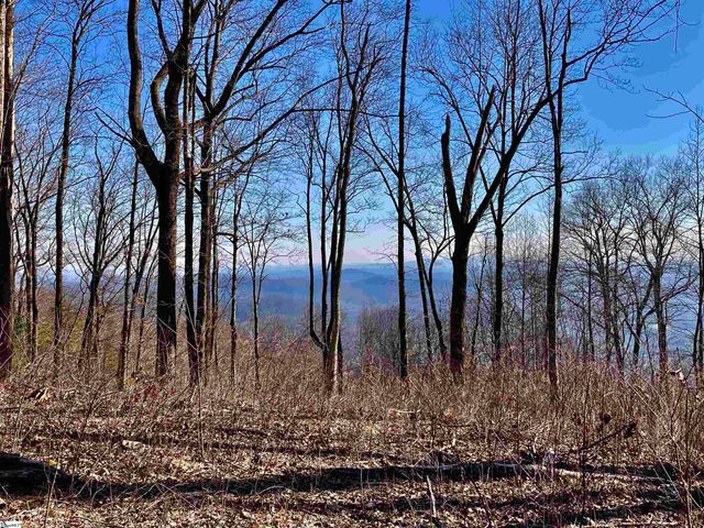 1000 Mountain Summit Road, Travelers Rest, SC 29690