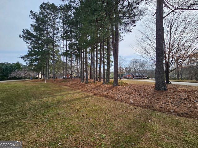 164 Turner Creek Drive, Hampton, GA 30228