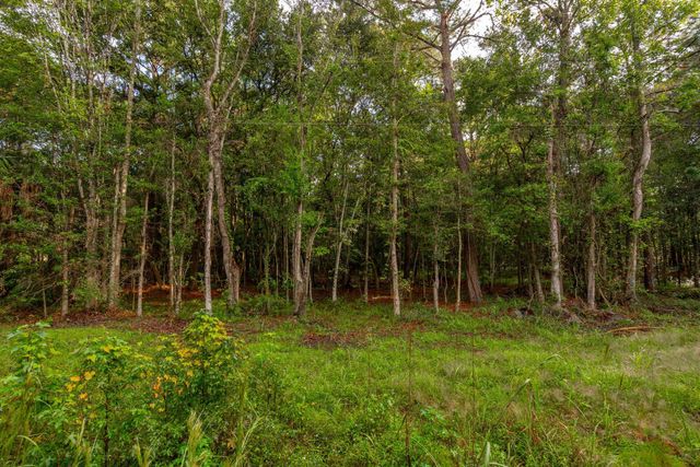 746 Wilson Cemetery Road, Awendaw, SC 29429