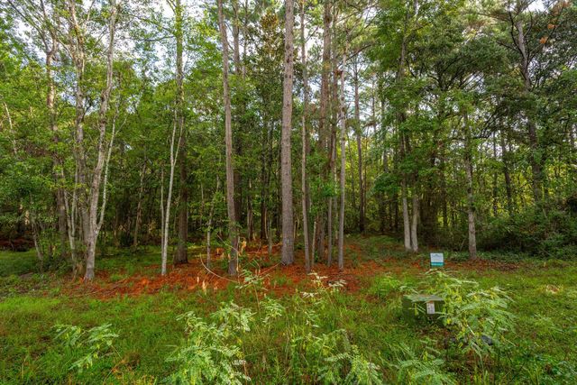 746 Wilson Cemetery Road, Awendaw, SC 29429