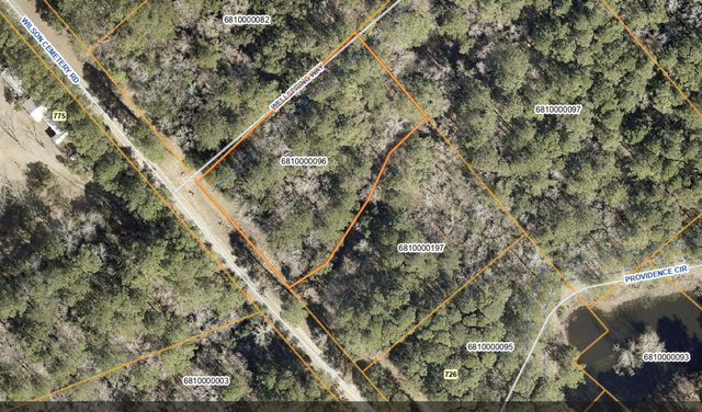 746 Wilson Cemetery Road, Awendaw, SC 29429