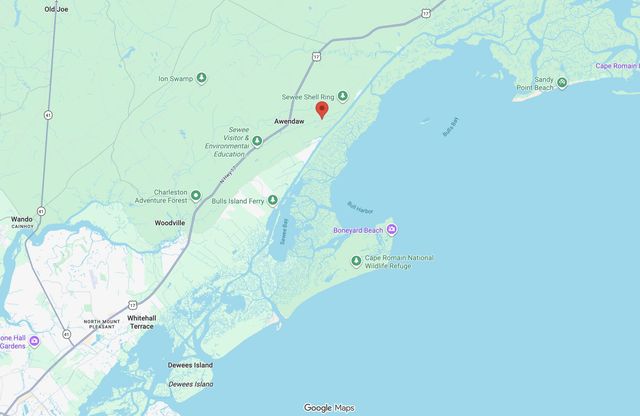 746 Wilson Cemetery Road, Awendaw, SC 29429
