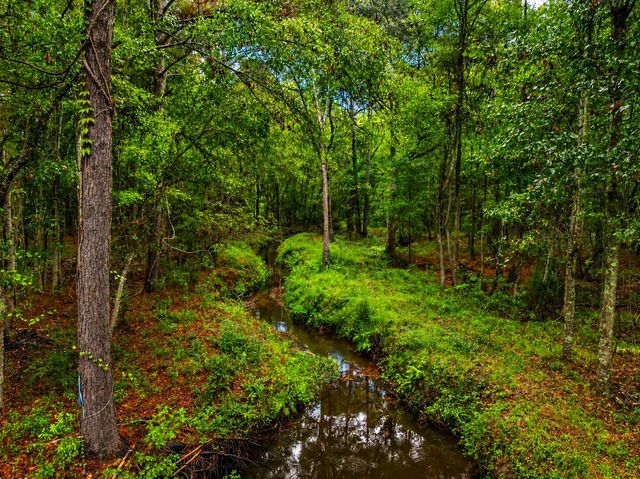 746 Wilson Cemetery Road, Awendaw, SC 29429