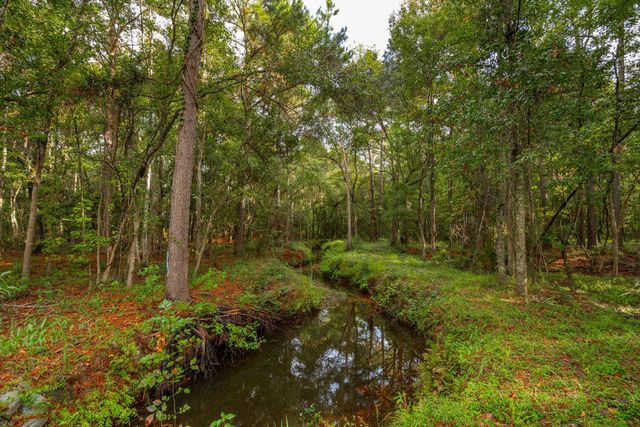 746 Wilson Cemetery Road, Awendaw, SC 29429