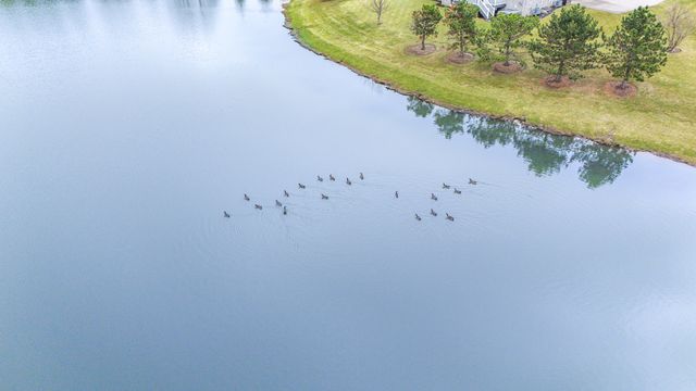 22303 Majestic Lane, Frankfort, IL 60423