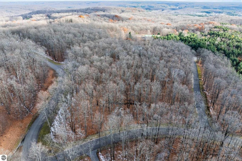 Image 10 of property listing at 158 Forest Highlands, Bellaire, MI 49615