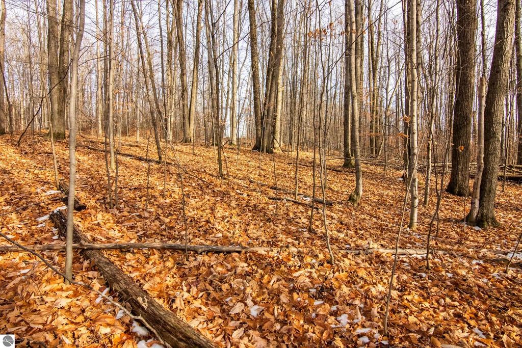 Image 12 of property listing at 158 Forest Highlands, Bellaire, MI 49615