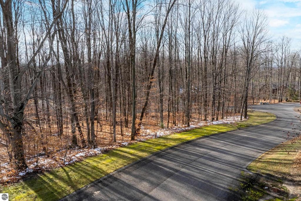 Image 13 of property listing at 158 Forest Highlands, Bellaire, MI 49615