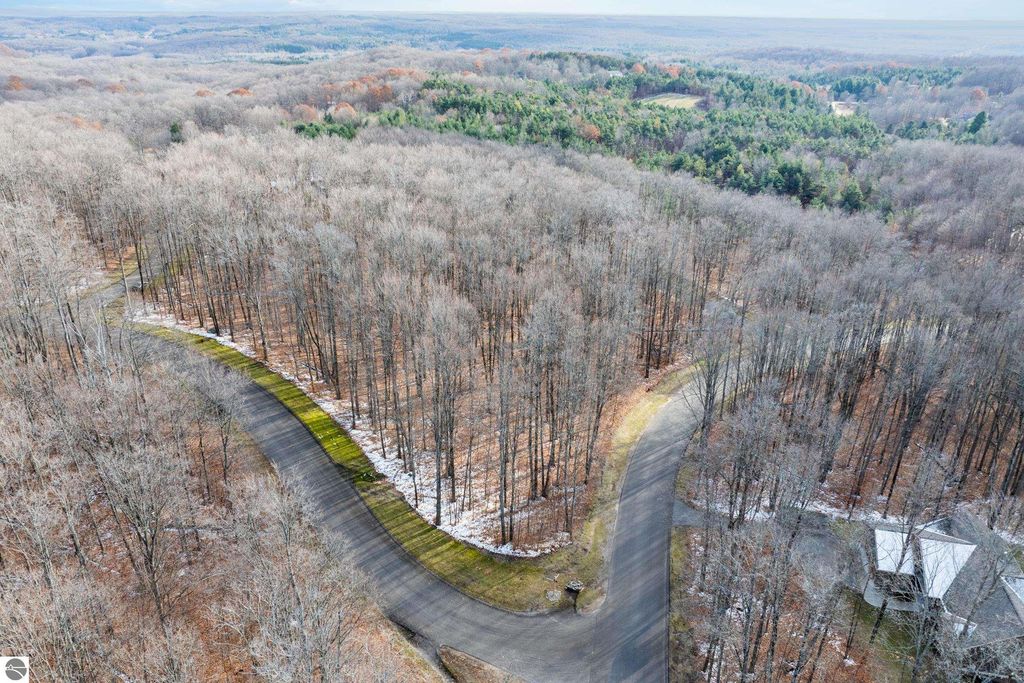 Image 2 of property listing at 158 Forest Highlands, Bellaire, MI 49615