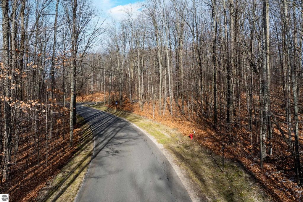 Image 3 of property listing at 158 Forest Highlands, Bellaire, MI 49615