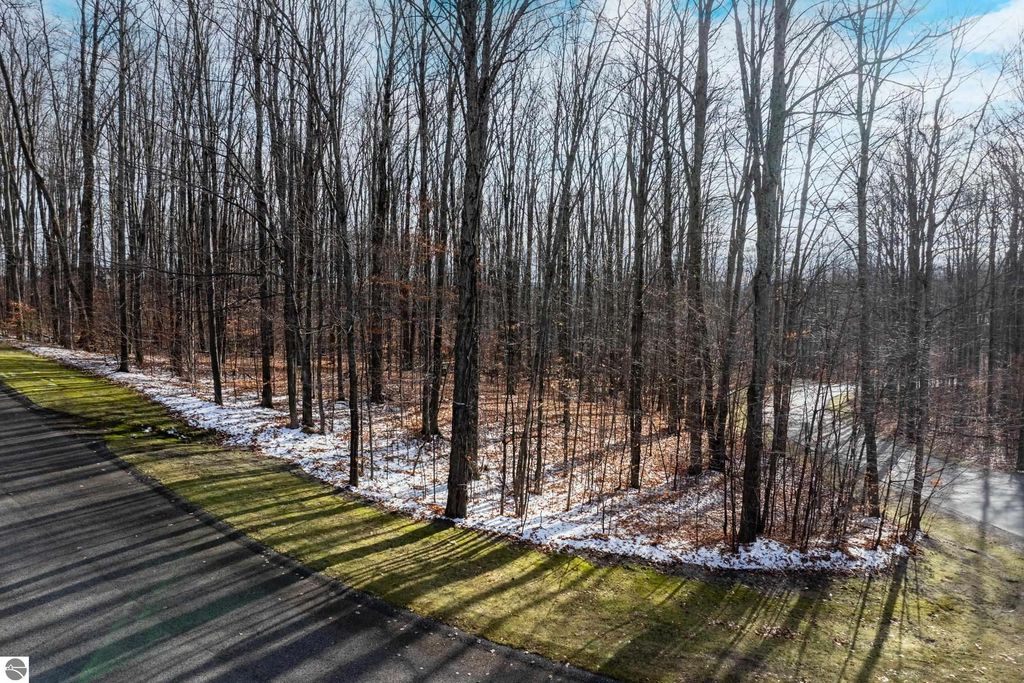 Image 4 of property listing at 158 Forest Highlands, Bellaire, MI 49615