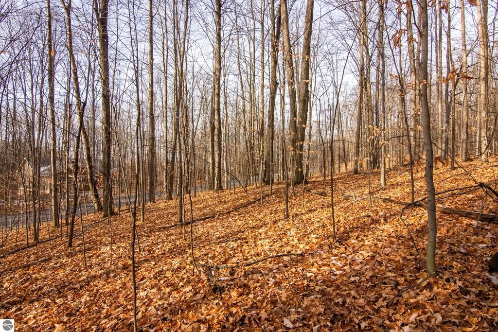 Image 5 of property listing at 158 Forest Highlands, Bellaire, MI 49615