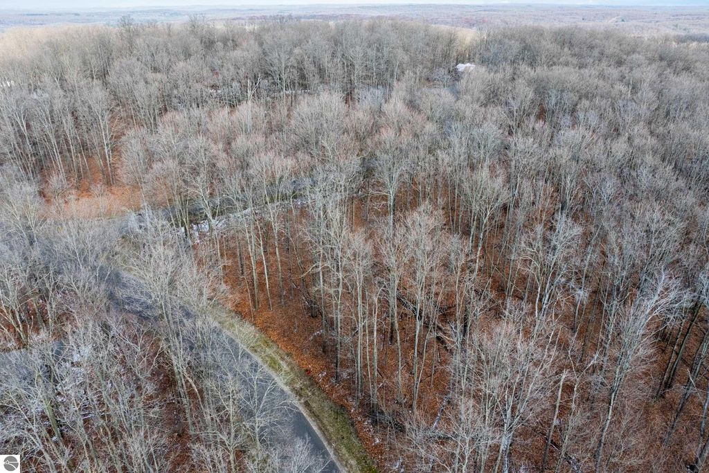 Image 8 of property listing at 158 Forest Highlands, Bellaire, MI 49615