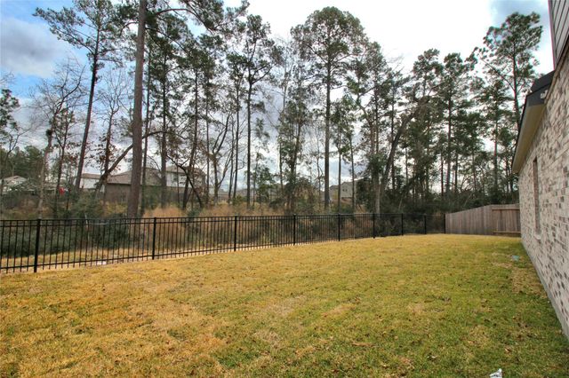 8511 Blueberry Ash Street, Magnolia, TX 77354