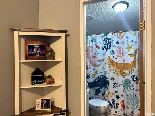 65 Payne Drive, Goreville, IL 62939