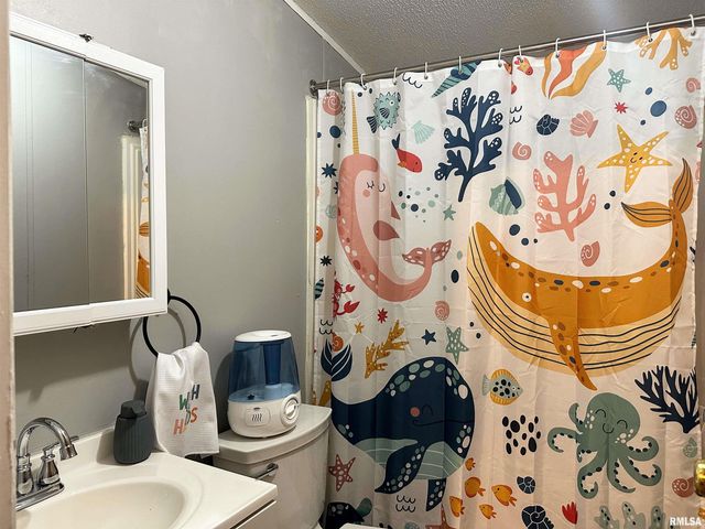 65 Payne Drive, Goreville, IL 62939