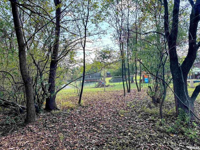 65 Payne Drive, Goreville, IL 62939