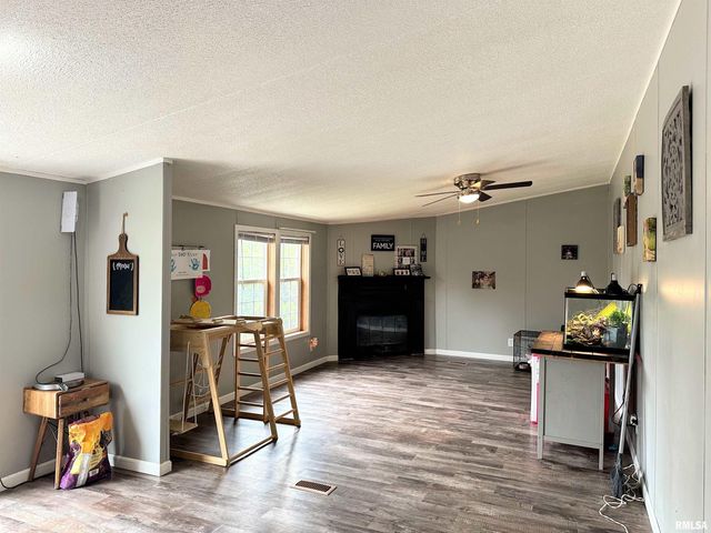 65 Payne Drive, Goreville, IL 62939