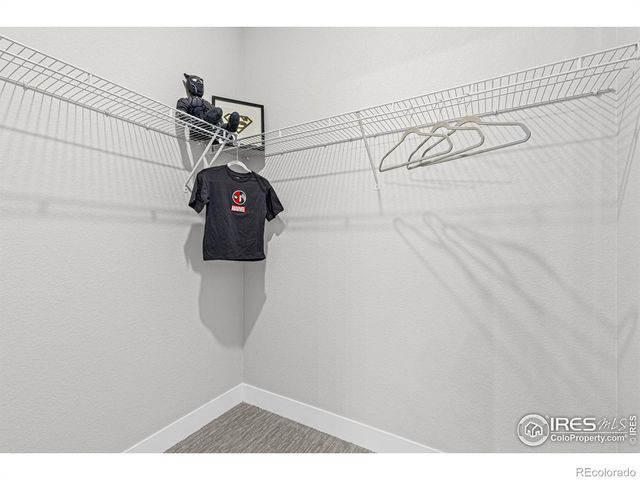 250 Sugar Beet Lane, Berthoud, CO 80513