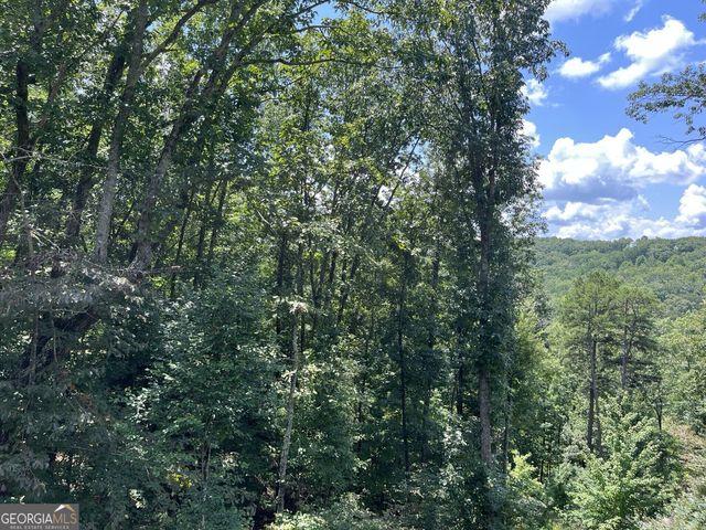 98 Adair Drive NE, Ranger, GA 30734