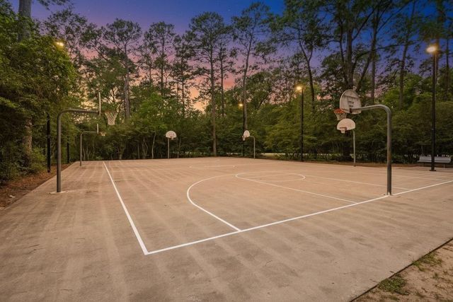 78 E Hobbit Glen Drive, Conroe, TX 77384