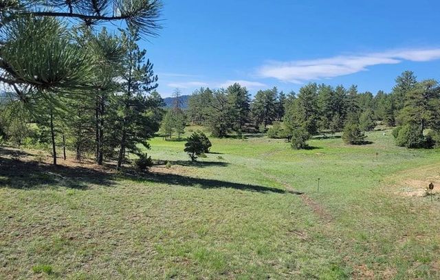 451 Thunder Trail, Canon City, CO 81212