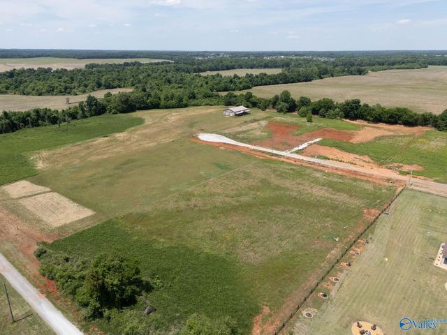 23678 Old Homeplace Way, Athens, AL 35613