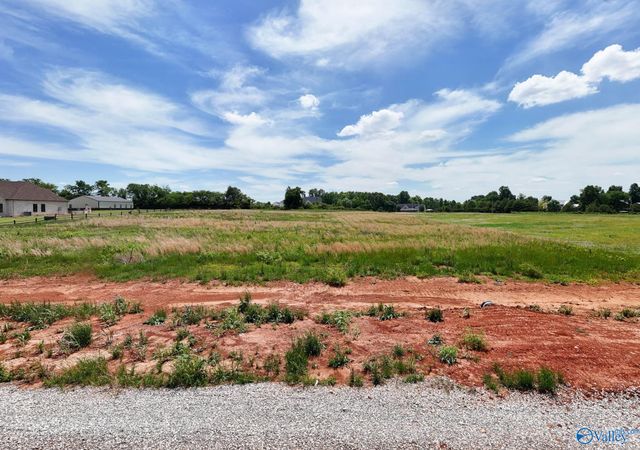 23678 Old Homeplace Way, Athens, AL 35613