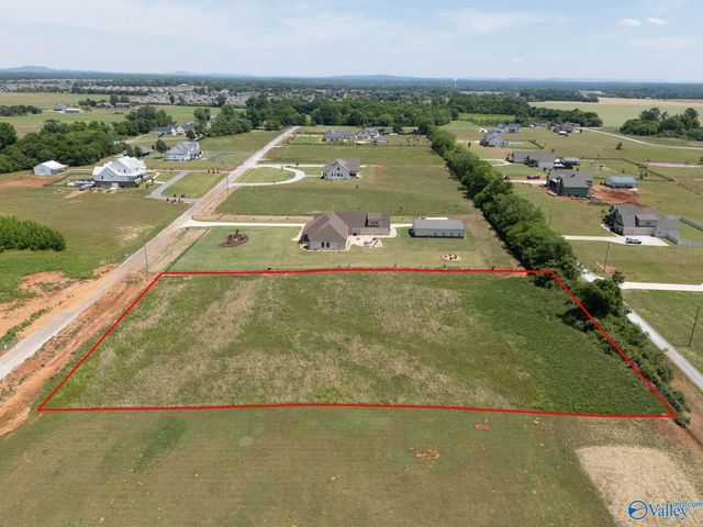 23678 Old Homeplace Way, Athens, AL 35613