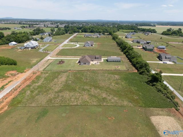 23678 Old Homeplace Way, Athens, AL 35613