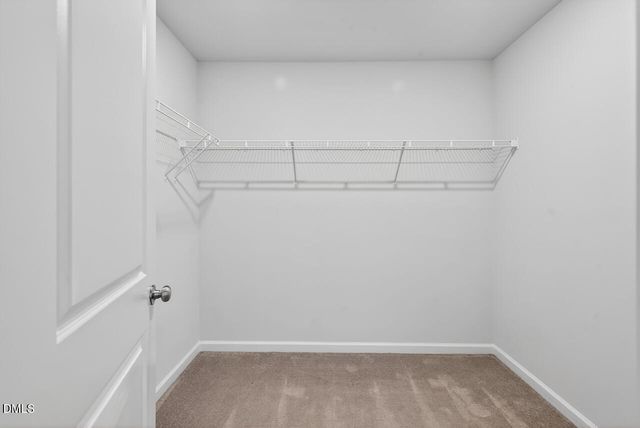 2450 Tonoloway Drive, Raleigh, NC 27610