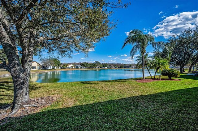 1248 ASHBOURNE CIRCLE, Trinity, FL 34655