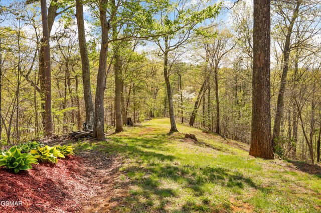 2278 Lower Rinehart Road, Dandridge, TN 37725