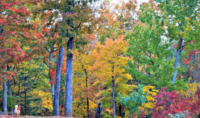 2278 Lower Rinehart Road, Dandridge, TN 37725