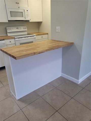 1100 E CAROLINE STREET 115, Tavares, FL 32778