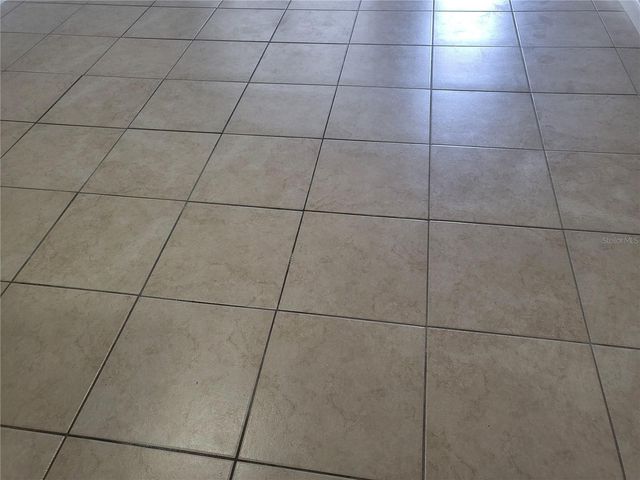 1100 E CAROLINE STREET 115, Tavares, FL 32778