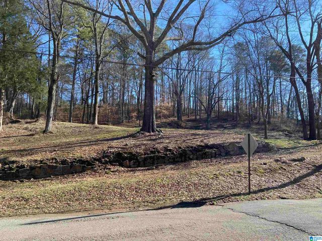 0 ROBINSON STREET, Springville, AL 35146