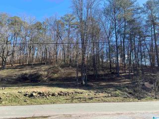 0 ROBINSON STREET, Springville, AL 35146