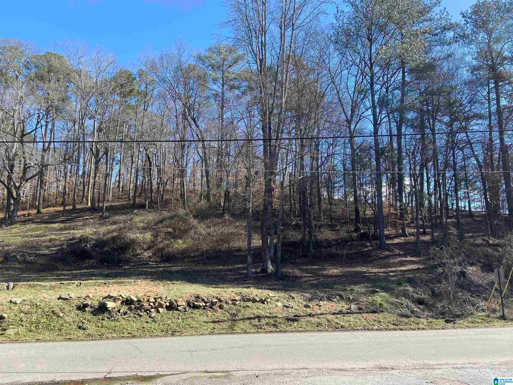 0 ROBINSON STREET, Springville, AL 35146