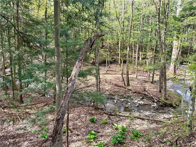 20 Toggletown Road, Kirkland, NY 13323