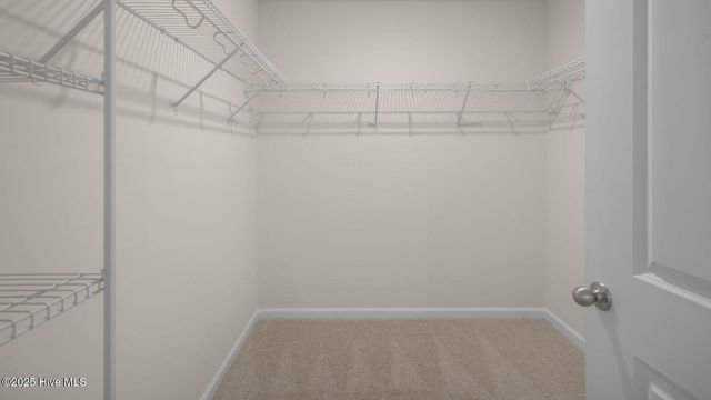 4805 Martha Wynd Way, Farmville, NC 27828