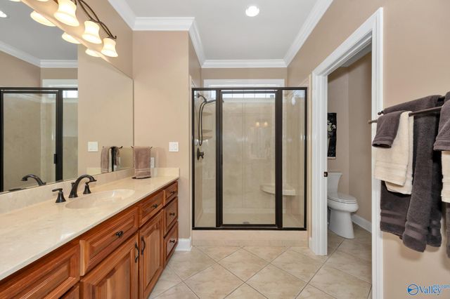 252 Old Overton Drive, Madison, AL 35756